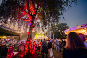 Glanzlixchter Open Air im Bürgerpark Schloß Holte-Stukenbrock +++ Taylor Experience +++ Foto: Besim Mazhiqi